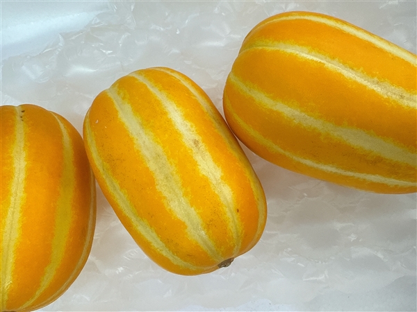 KakaoTalk_20250214_150241444_06.jpg
